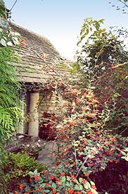 Two Pillars from the garden