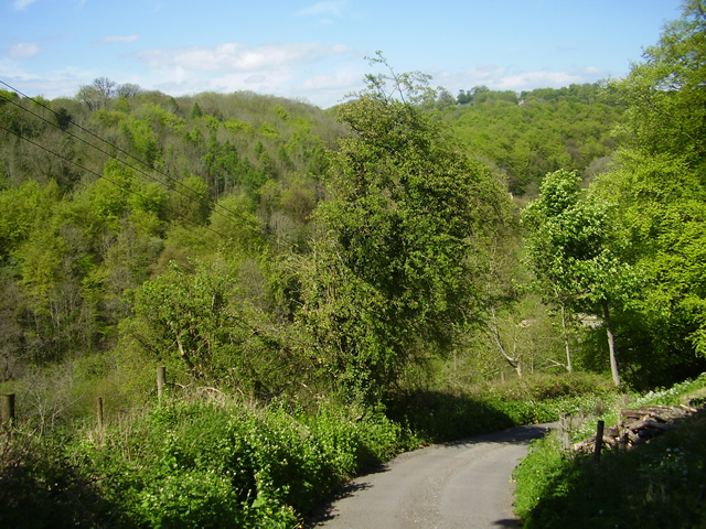 Toadsmoor Valley in the spring