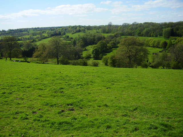 Toadsmoor Valley in the spring