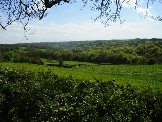 Toadsmoor Valley in the spring