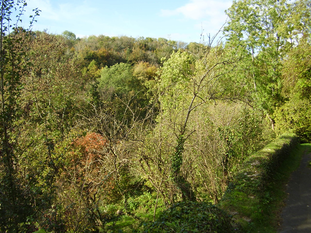 Toadsmoor Valley in the autumn